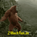 Funny-Monkey-Dance-2MuchFun.in