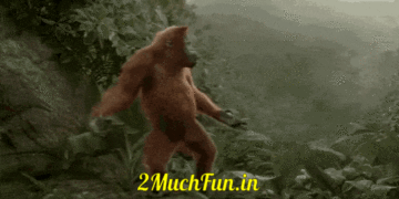 Funny-Monkey-Dance-2MuchFun.in