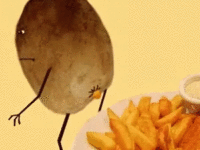 Funny Potato-french-fries-2muchfun